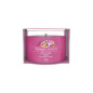 náhled Yankee Candle Votiv ve skle 37g ART IN THE PARK