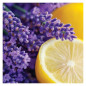 náhled Yankee Candle Reed difuzér Lemon Lavender, 100 ml