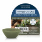 náhled Yankee Candle SILVER SAGE & PINE, vonný vosk 22 g NEW