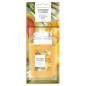 náhled Yankee Candle STARFRUIT & SUNSHINE, papírová visačky