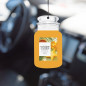 náhled Yankee Candle STARFRUIT & SUNSHINE, papírová visačky