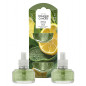 náhled Yankee Candle Sage & Citrus, náplň (2ks) vůně do elektrické zásuvky