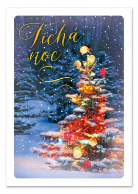 Ditipo Hrací přání vánoční TICHÁ NOC (melodie)