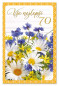 náhled Ditipo Blahopřání - K VÝROČÍ 70.tiny (luční květy)