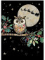 náhled Luxusní přání MC049 BUG ART - CHRISTMAS OWL