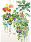 náhled Luxusní přání P010 BUG ART - HANGING PLANTS