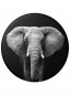 náhled PopSockets PopGrip Gen.2, LOXODONTA AFRICANA, slon africký, výměnný