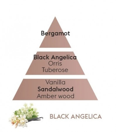 detail Maison Berger BLACK ANGELICA Černá andělika, difuzér 125ml