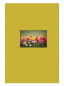 náhled Fotoalbum 9x13/300 3-up B-35300S Fandy LEA 2 žluté